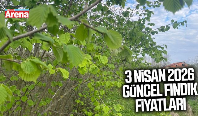 3 Nisan 2026 il il güncel fındık fiyatları