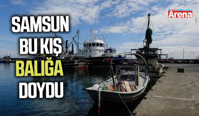 Samsun bu kış balığa doydu