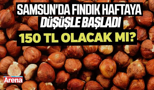 Samsun'da fındık haftaya düşüşle başladı