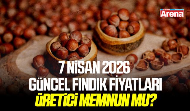 7 Nisan 2026 il il güncel fındık fiyatları