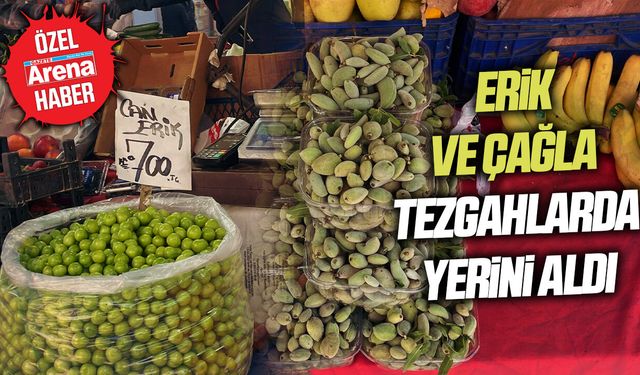 Samsun'da erik ve çağla tezgahlarda