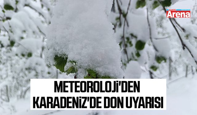 Meteoroloji'den Karadeniz'de don uyarısı