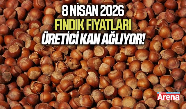 8 Nisan 2026 güncel fındık fiyatları