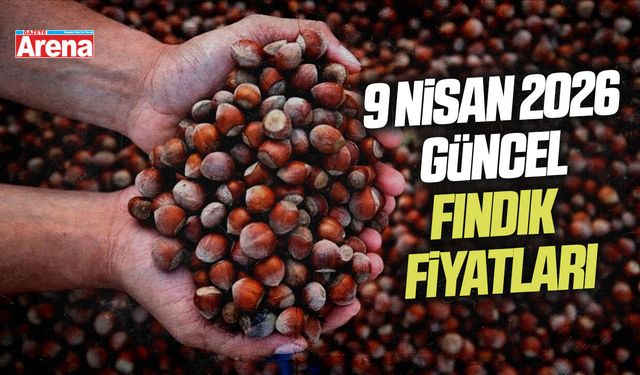 9 Nisan 2026 il il güncel fındık fiyatları