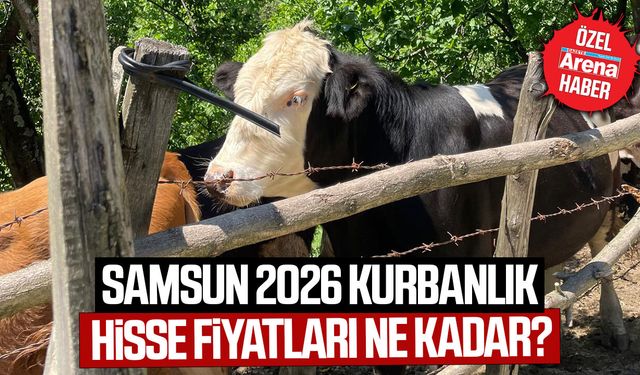 Samsun 2026 kurbanlık hisse fiyatları ne kadar?