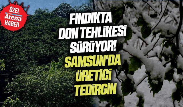 Fındıkta don tehlikesi! Samsun'da üretici tedirgin
