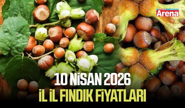 10 Nisan 2026 il il güncel fındık fiyatları