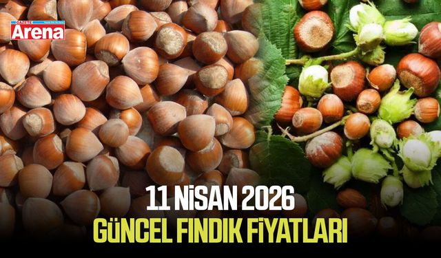 11 Nisan 2026 güncel fındık fiyatları