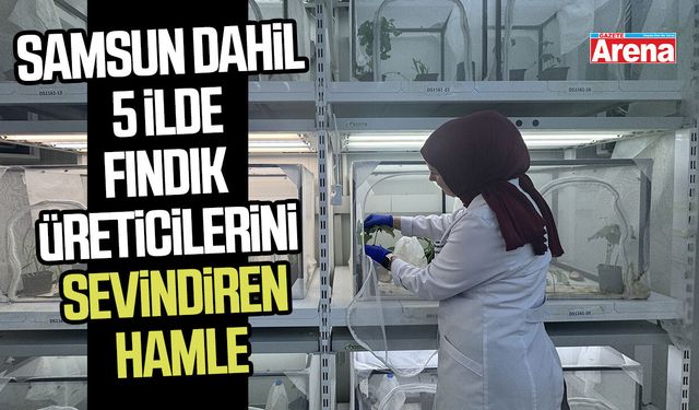 Kahverengi kokarca için dev hamle: Samsun'da üretiliyor