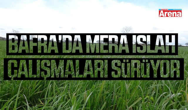 Bafra'da mera ıslah çalışmaları sürüyor