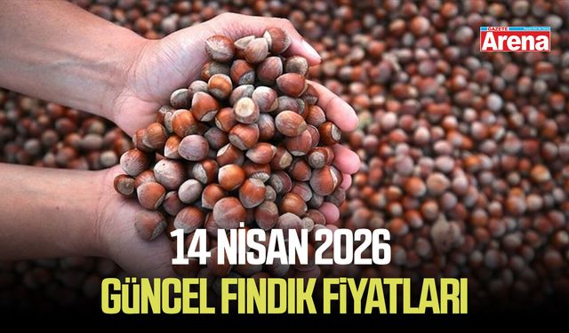 14 Nisan 2026 il il güncel fındık fiyatları