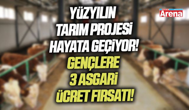 Genç çiftçilere maaş ve tapu müjdesiyle dev tarım projesi