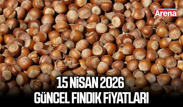 15 Nisan 2026 il il güncel fındık fiyatları