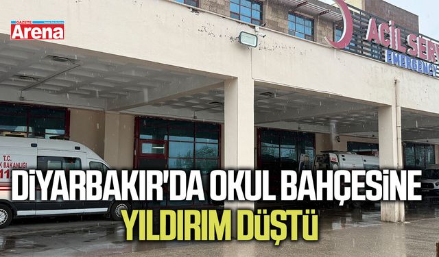 Diyarbakır'da okul bahçesine yıldırım düştü