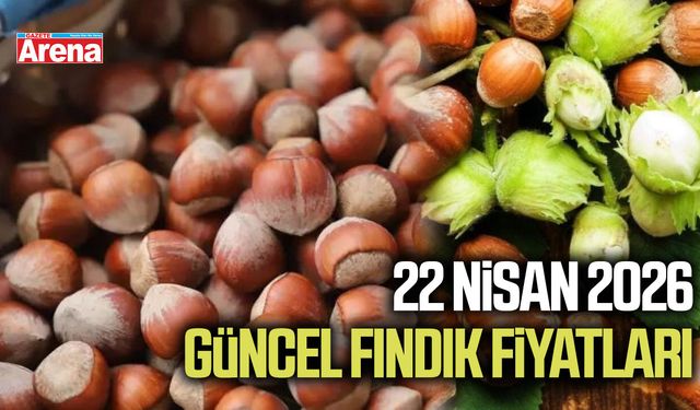 22 Nisan 2026 güncel fındık fiyatları