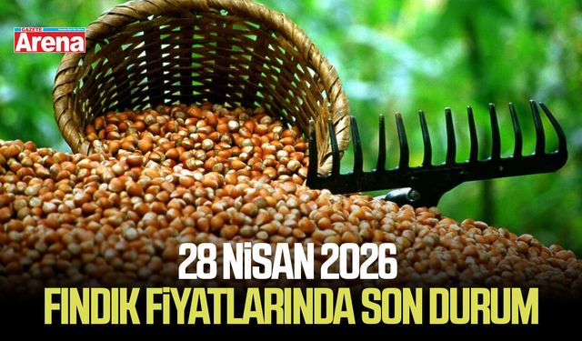 28 Nisan 2026 güncel fındık fiyatlarında son durum