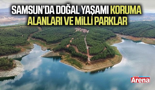 Samsun’da doğal yaşamı koruma alanları ve milli parklar