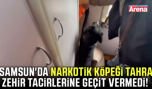 Samsun'da narkotik köpeği Tahra zehir tacirlerine geçit vermedi!