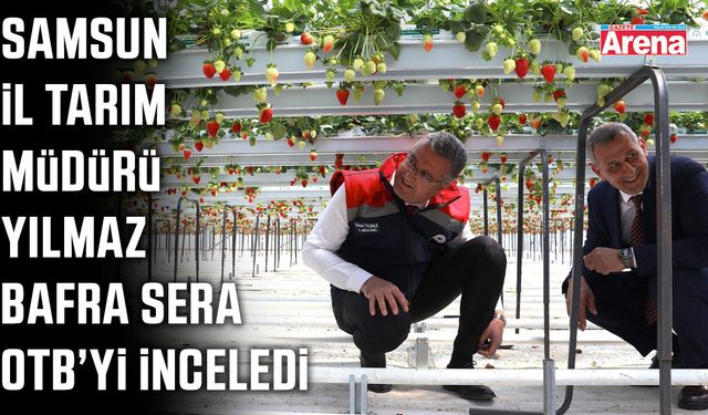 Samsun İl Tarım Müdürü Yılmaz Bafra Sera OTB’yi inceledi