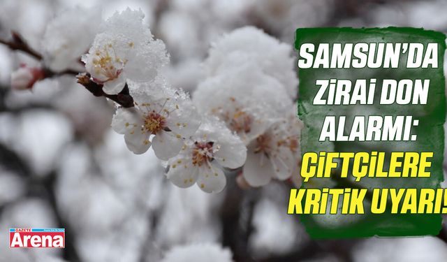 Samsun’da zirai don alarmı: Çiftçilere kritik uyarı!