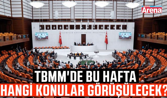 TBMM'de bu hafta hangi konular görüşülecek?
