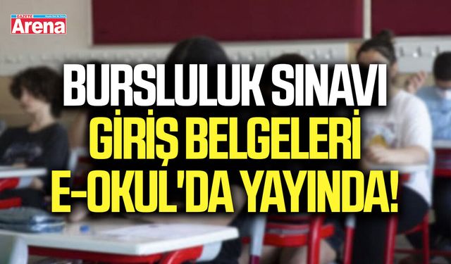 Bursluluk sınavı giriş belgeleri e-Okul'da yayında!