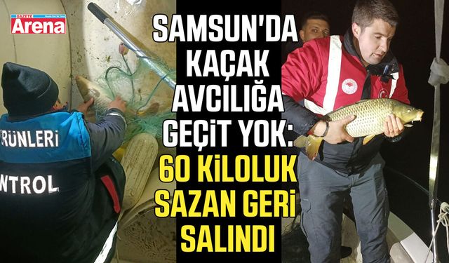 Samsun'da ekipler kaçak avcılığa geçit vermedi!