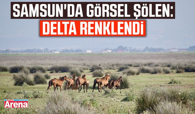 Samsun'da görsel şölen: Delta renklendi