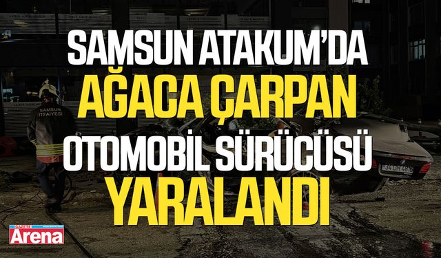 Samsun Atakum’da ağaca çarpan otomobil sürücüsü yaralandı