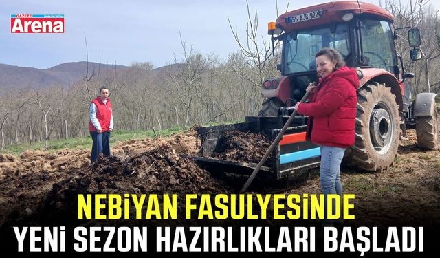 Nebiyan fasulyesinde yeni sezon hazırlıkları başladı