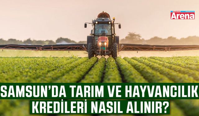 Samsun’da tarım ve hayvancılık kredileri nasıl alınır?