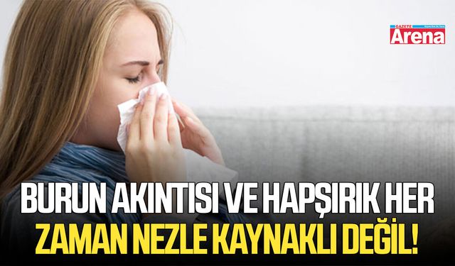 Burun akıntısı ve hapşırık her zaman nezle kaynaklı değil!