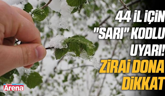44 il için "sarı"kodlu uyarı! Zirai dona dikkat