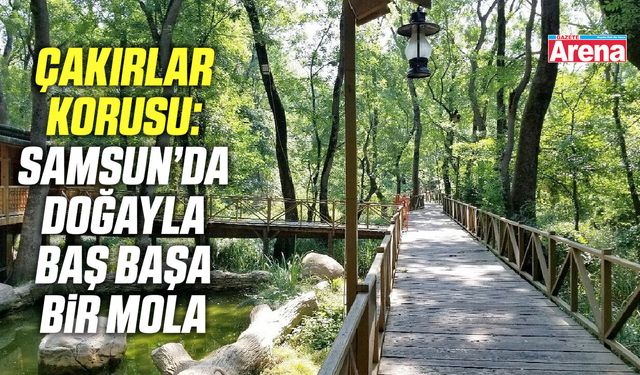 Çakırlar Korusu: Samsun’da doğayla baş başa bir mola