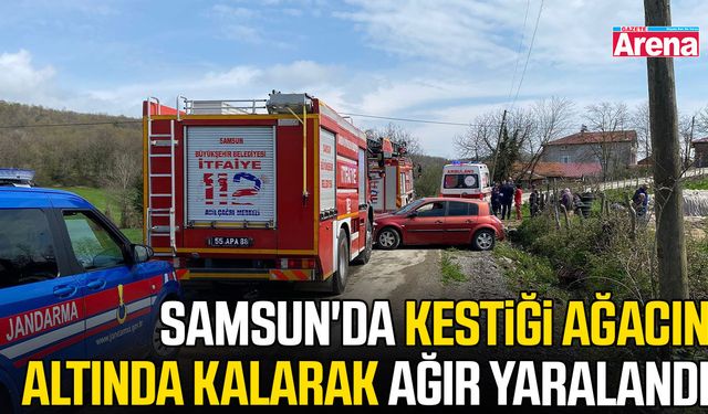 Samsun'da kestiği ağacın altında kalarak ağır yaralandı
