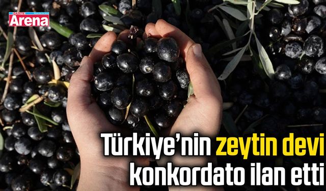 Türkiye’nin zeytin devi konkordato ilan etti
