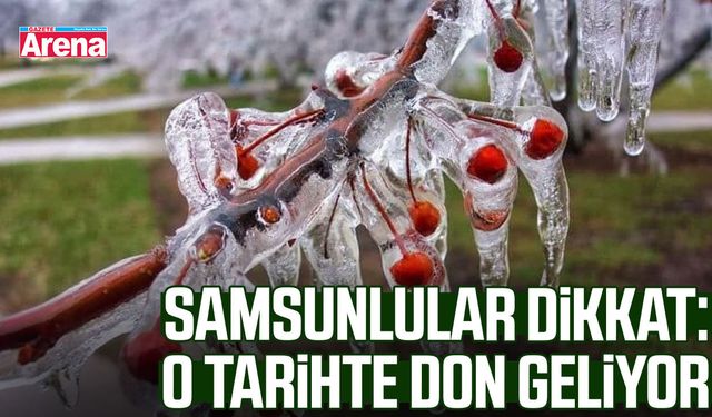Samsunlular dikkat: O tarihte don geliyor