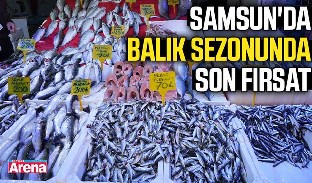 Samsun'da balık sezonunda son fırsat