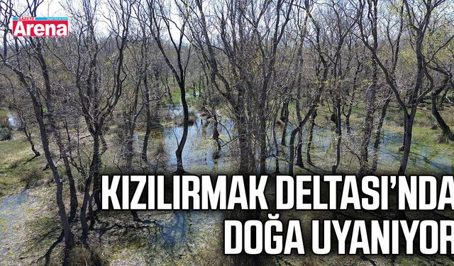 Kızılırmak Deltası’nda doğa uyanıyor
