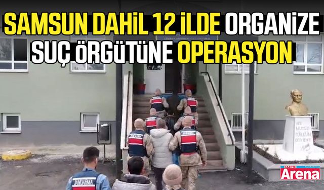 Samsun dahil 12 ilde organize suç örgütüne operasyon