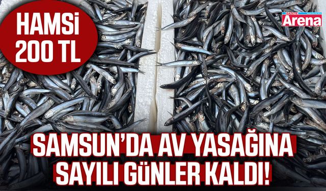 Samsun’da av yasağına sayılı günler kaldı!