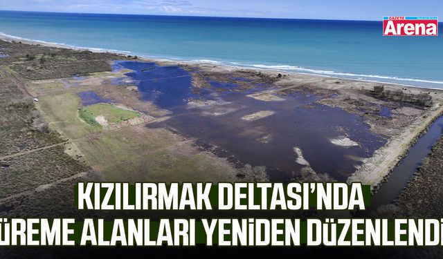 Kızılırmak Deltası’nda üreme alanları yeniden düzenlendi