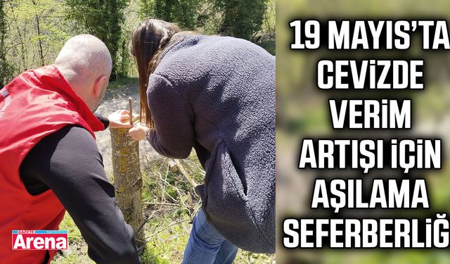 19 Mayıs’ta cevizde verim artışı için aşılama seferberliği