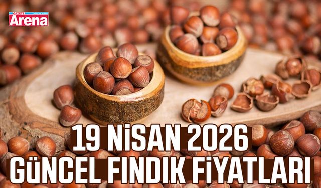 19 Nisan güncel fındık fiyatları
