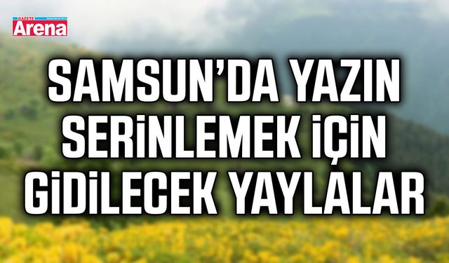 Samsun’da yazın serinlemek için gidilecek yaylalar