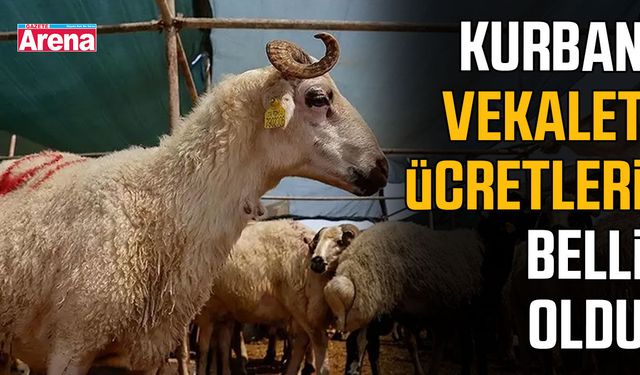 Kurban vekalet ücretleri belli oldu