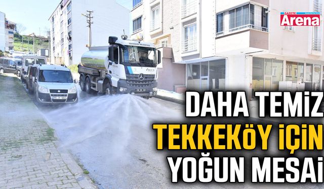 Tekkeköy’de temizlik seferberliği