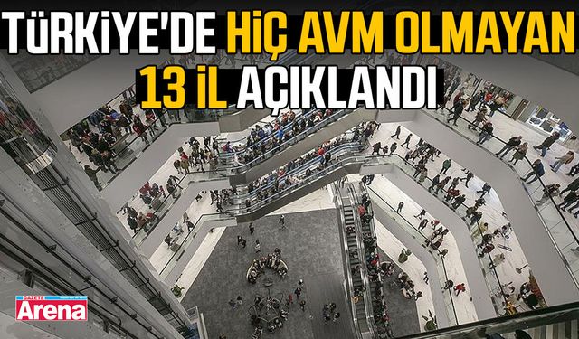 Türkiye'de hiç AVM olmayan 13 il açıklandı
