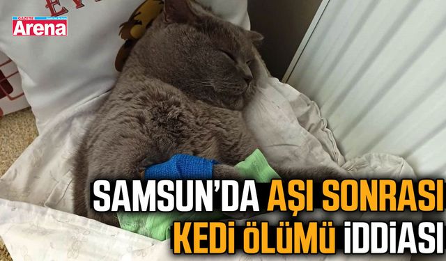 Samsun’da aşı sonrası kedi ölümü iddiası