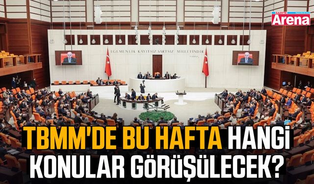 TBMM'de bu hafta hangi konular görüşülecek?